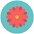 открыть страницу с доменом FeelFlora.ru